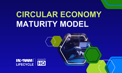 The Circular Economy Maturity Model