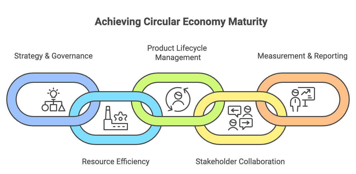 circular economy maturity model pillars of evaluation